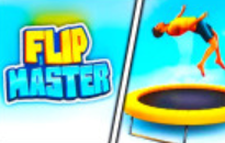 Flip Master